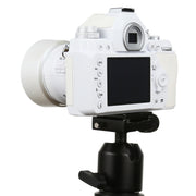 Non-Working Fake Dummy DSLR Camera Model DF Model Room Props Ornaments Display Photo Studio Camera Model Props, Color:White(With Hood)