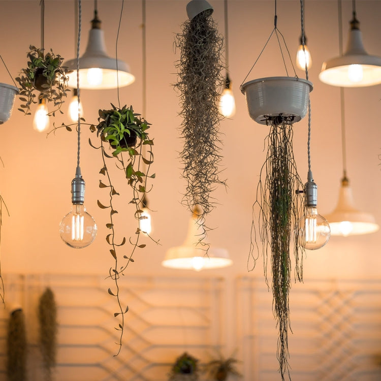 E27 40W Retro Edison Light Bulb Filament Vintage Ampoule Incandescent Bulb, AC 220V(G80 Spirai) - LED Blubs & Tubes by PMC TechLife | Online Shopping South Africa | PMC TechLife