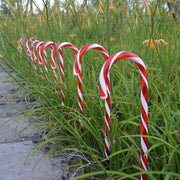 10 in 1 Christmas Cane Lights Holiday Indoor Garden Decoration Lights(US Plug)