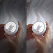 DZ-K610 Human Body Induction Night Light Cute Pet Bedroom Atmosphere Light USB Cabinet Wall Lamp(White)