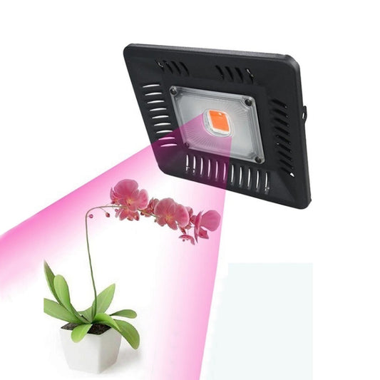 50W Ultra-Thin LED Plant Light, Full Spectrum COB Growth Light, Vegetable, Fruit & Flower Greenhouse Fill Light Without Plug - LED Grow Lights by PMC Jewellery | Online Shopping South Africa | PMC Jewellery | Buy Now Pay Later Mobicred