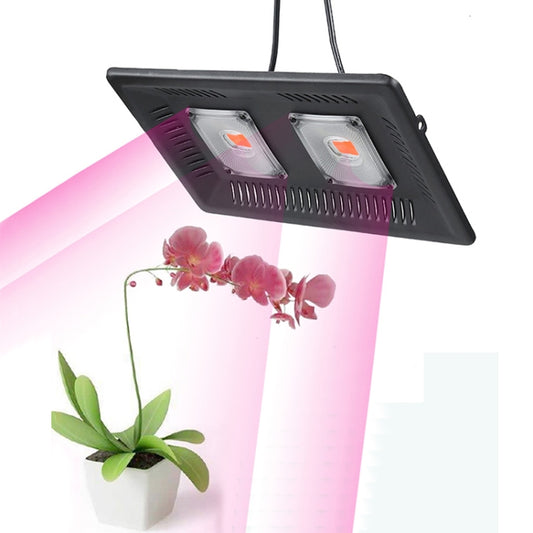 100W Ultra-Thin LED Plant Light, Full Spectrum COB Growth Light, Vegetable, Fruit & Flower Greenhouse Fill Light Without Plug - LED Grow Lights by PMC Jewellery | Online Shopping South Africa | PMC Jewellery | Buy Now Pay Later Mobicred