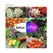 100W Ultra-Thin LED Plant Light, Full Spectrum COB Growth Light, Vegetable, Fruit & Flower Greenhouse Fill Light Without Plug