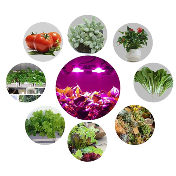 150W  Ultra-Thin LED Plant Light, Full Spectrum COB Growth Light, Vegetable, Fruit & Flower Greenhouse Fill Light Without Plug