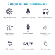 BM-86 USB Condenser Microphone Voice Recording Computer Microphone Live Broadcast Equipment Set, Specification: Standard+Small Blowout Prevention Net