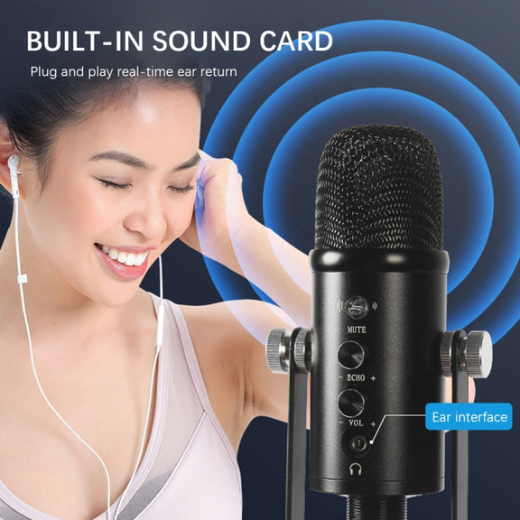 BM-86 USB Condenser Microphone Voice Recording Computer Microphone Live Broadcast Equipment Set, Specification: Standard+Small Blowout Prevention Net