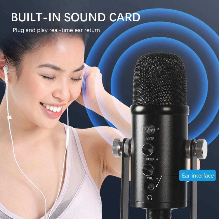 BM-86 USB Condenser Microphone Voice Recording Computer Microphone Live Broadcast Equipment Set, Specification: Standard+Small Blowout Prevention Net