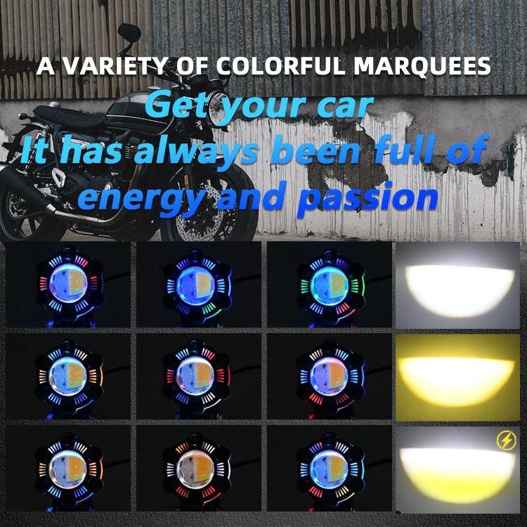 TBD0566560301C_6.jpg@eaeb75975829d2c817f5a2b6203fd806