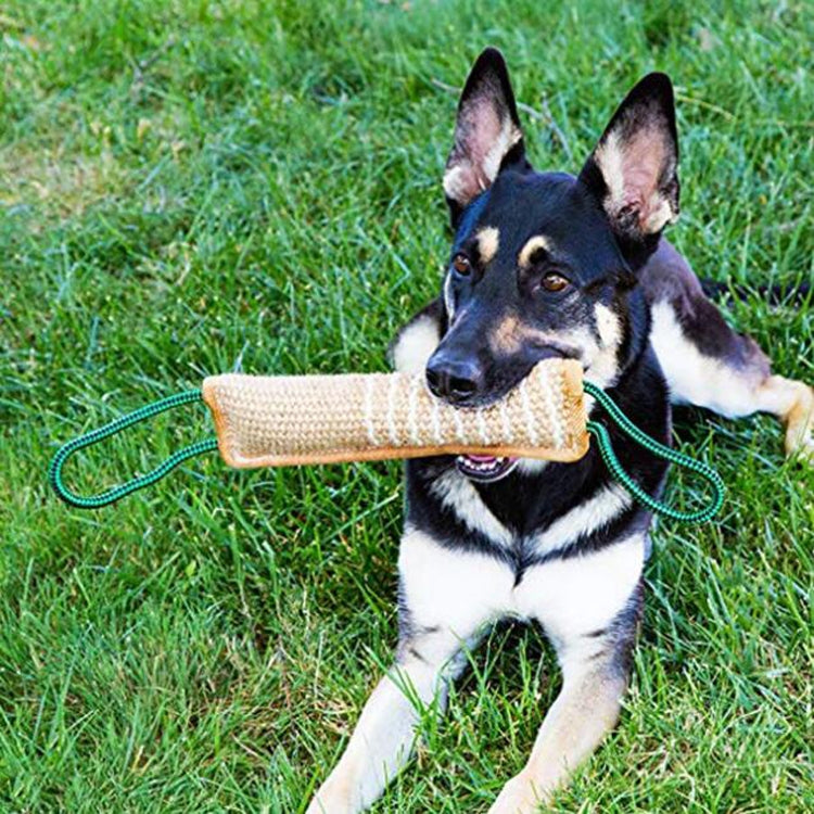 Dog Training Hemp Bite Stick Dog Bite Stick Dog Training Supplies(A5) - Training Aids by PMC TechLife | Online Shopping South Africa | PMC TechLife | Buy Now Pay Later Mobicred