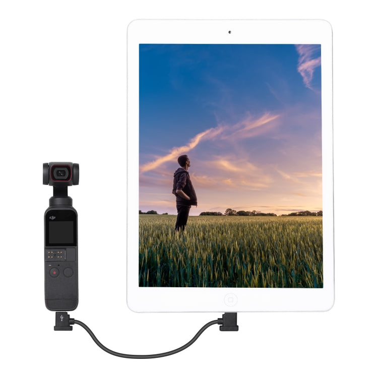 Sunnylife TY-X9304 Suitable For DJI Mavic Air 2S / DJI FPV Flight Glasses V2 / Mavic Mini2 / Osmo Pocket 2 Mobile Phone Tablet Cable 30cm Type-C to Micro USB Cable - Other Accessories by PMC TechLife | Online Shopping South Africa | PMC TechLife | Buy Now Pay Later Mobicred