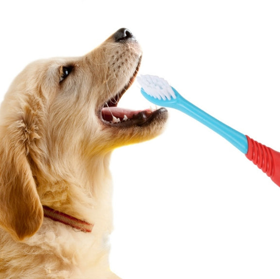 Pet Double-Head Toothbrush Pet Oral Cleaning Products(Blue)