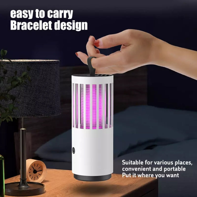 DAI HEART Electric Mosquito Killer Lamp Outdoor Household Photocatalyst Mosquito Killer,Style: USB Direct Plug