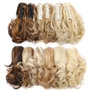 Women Curly Hair Short Ponytail Wig With Shark Clip(22M613 #)