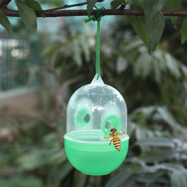 Hanging Type Wasp Flies Killer Trap, Specification: Capsule Type