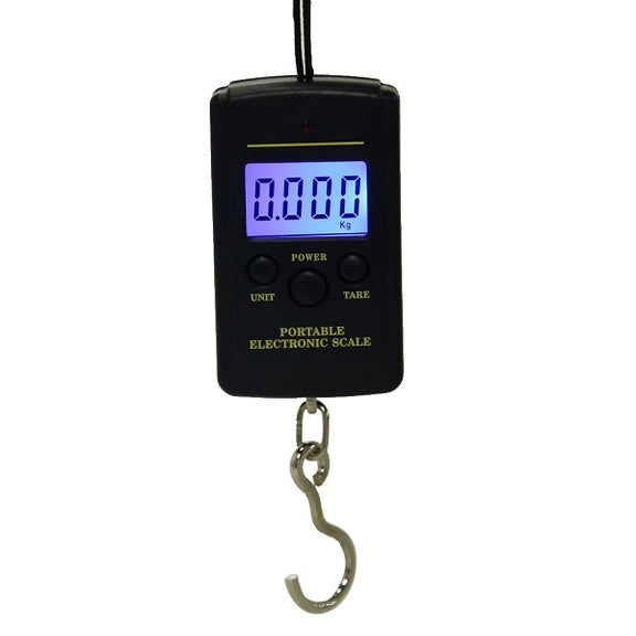 10g Mini Digital Fishing Scale Travel Weighting Steelyard Hanging Electronic Hook Scale Kitchen Weight Tool, Capacity:40kg with backlight