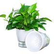 Fully Transparent Hydroponic Flower Pots Water Level Visible Non-Broken Glue Self-Absorbent Plastic Flower Pots, Size: W03 Caliber 11cm(Full Transparency) - Flower Pots & Planters by PMc TechLife | Online Shopping South Africa | PMc TechLife | Buy Now Pay Later Mobicred