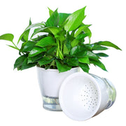 Fully Transparent Hydroponic Flower Pots Water Level Visible Non-Broken Glue Self-Absorbent Plastic Flower Pots, Size: W03 Caliber 11cm(Full Transparency)