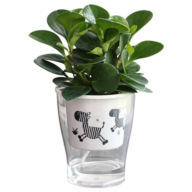 Fully Transparent Hydroponic Flower Pots Water Level Visible Non-Broken Glue Self-Absorbent Plastic Flower Pots, Size: W03 Caliber 11cm(Full Transparent Zebra Pattern)