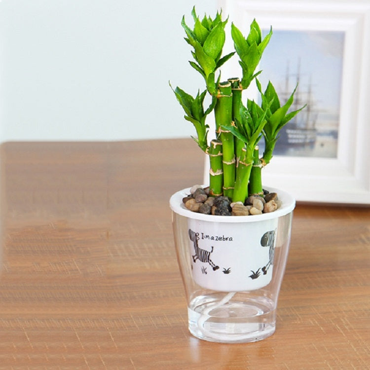 Fully Transparent Hydroponic Flower Pots Water Level Visible Non-Broken Glue Self-Absorbent Plastic Flower Pots, Size: W09 Caliber 17.5cm(Full Transparent Zebra Pattern)