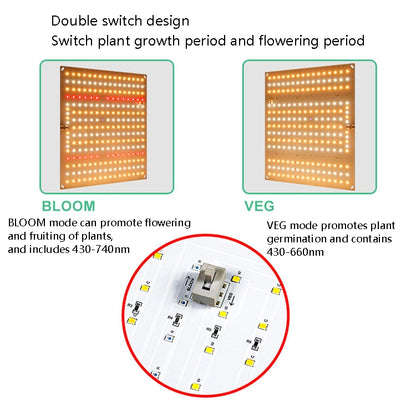 LED Plant Fill Light Full-Spectral Greenhouse Lighting Growth Light, Power: H2 234 Leds 50W(UK Plug) - LED Grow Lights by PMC Jewellery | Online Shopping South Africa | PMC Jewellery | Buy Now Pay Later Mobicred