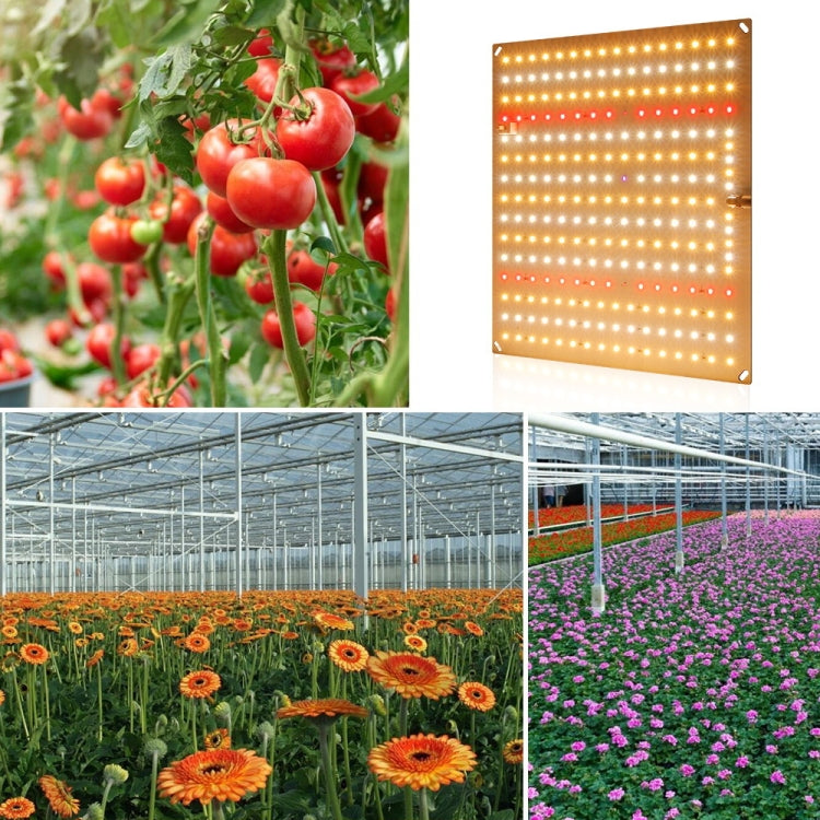 LED Plant Fill Light Full-Spectral Greenhouse Lighting Growth Light, Power: H2 234 Leds 50W(UK Plug) - LED Grow Lights by PMC Jewellery | Online Shopping South Africa | PMC Jewellery | Buy Now Pay Later Mobicred