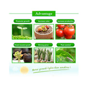 50W Ultra-Thin LED Plant Light, Full Spectrum COB Growth Light, Vegetable, Fruit & Flower Greenhouse Fill Light With Plug, Specification:UK Plug
