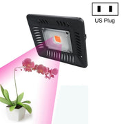 50W Ultra-Thin LED Plant Light, Full Spectrum COB Growth Light, Vegetable, Fruit & Flower Greenhouse Fill Light With Plug, Specification:US Plug