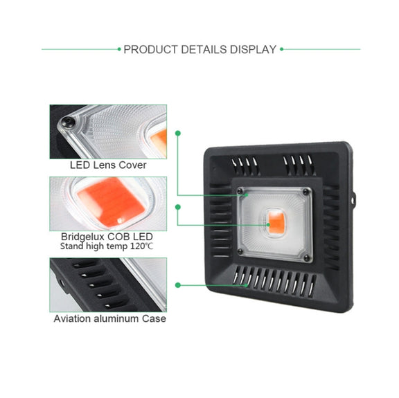 50W Ultra-Thin LED Plant Light, Full Spectrum COB Growth Light, Vegetable, Fruit & Flower Greenhouse Fill Light With Plug, Specification:AU Plug