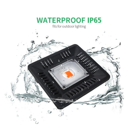 50W Ultra-Thin LED Plant Light, Full Spectrum COB Growth Light, Vegetable, Fruit & Flower Greenhouse Fill Light With Plug, Specification:AU Plug