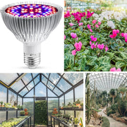 E27150W 200 Lamp Beads LED Plant Growth Lamp Plant Fill Light(Full-Spectral)