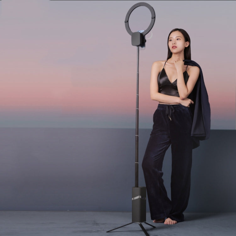CYKE One-Piece Live Invisible Bracket Beauty Filling Light(Black) - free shipping - PMC Jewellery - Order now!
