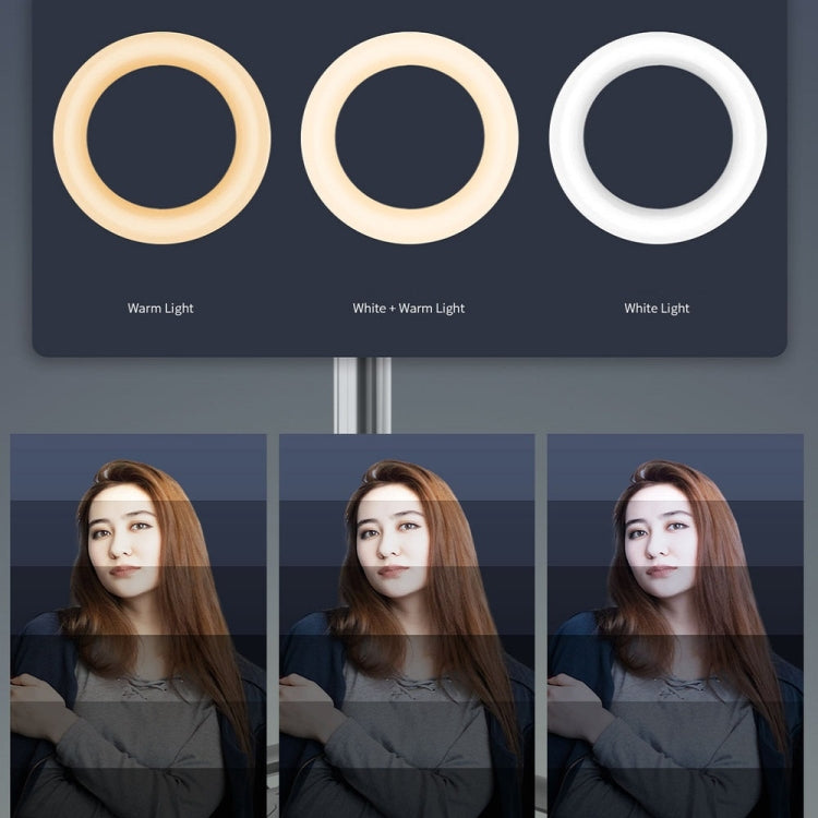 Wireless Bluetooth Selfie Stick Live Telescopic Bracket, Specification: Q05S (Black With Fill Light) - Selfie Sticks by PMC TechLife | Online Shopping South Africa | PMC TechLife | Buy Now Pay Later Mobicred