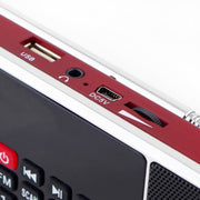 L-288FM Dual Speaker Radio MP3 Player Support TF Card/U Disk with LED Display(Red)