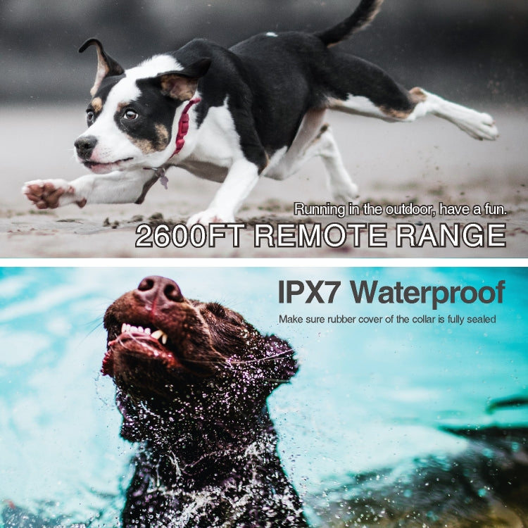 Intelligent Remote Control Dog Trainer Automatic Barking Stop Collar(White) - Training Aids by PMC TechLife | Online Shopping South Africa | PMC TechLife | Buy Now Pay Later Mobicred