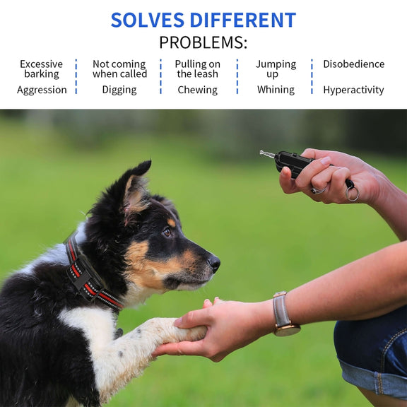 Electronic Dog Trainer Rechargeable Pet Remote Control Bark Stopper, Specification: 1 Drag 2