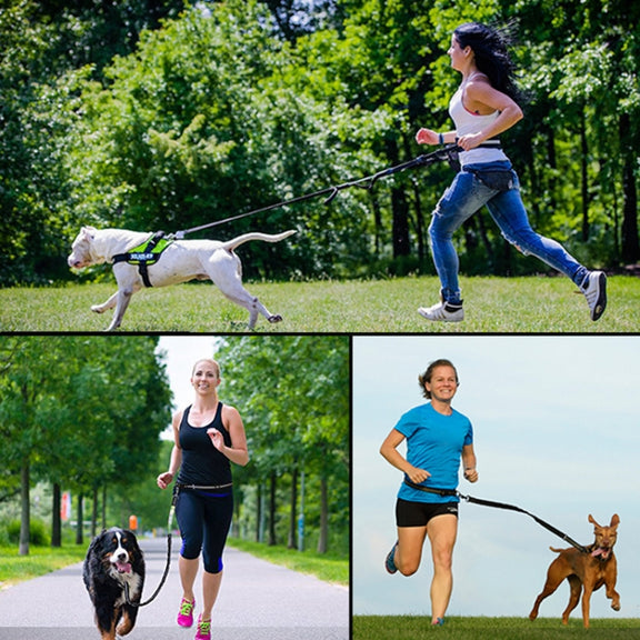 Pet Run Traction Rope Portable Waist Bag(Blue)
