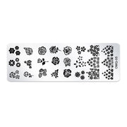 5 PCS Nail Art Print Template Nail Art Tools(OMQ-05)