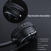 DANYIN BH69 Unilateral Bluetooth Business Talk Headset Customer Service Wireless Voice Wheat(Black)
