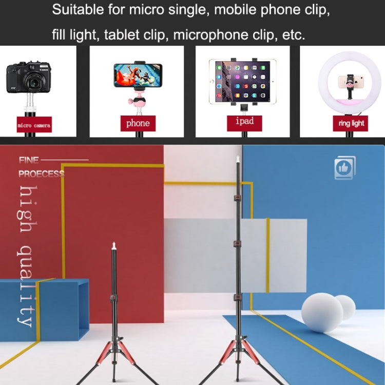 Aluminum Alloy Folding Mobile Phone Stand Live Selfie Floor Stand(Grey)
