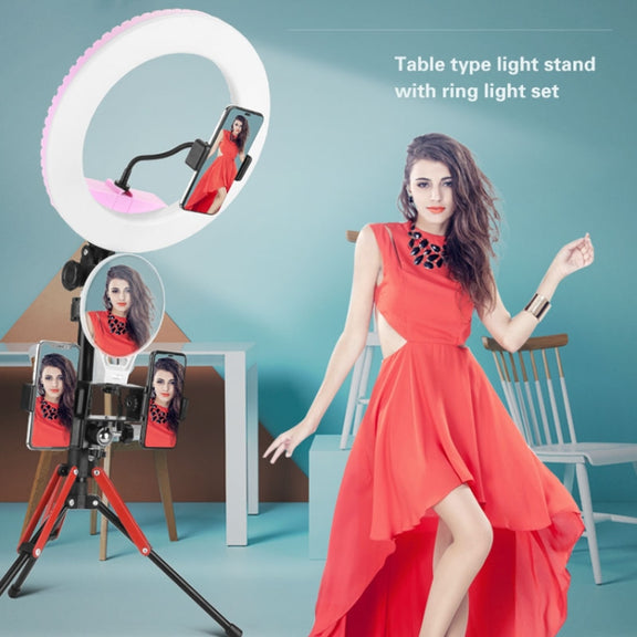 Aluminum Alloy Folding Mobile Phone Stand Live Selfie Floor Stand(Grey)
