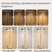 Rechargeable Desk Lamp Removable Desk Lamp Bar Atmosphere Night Light(Black)