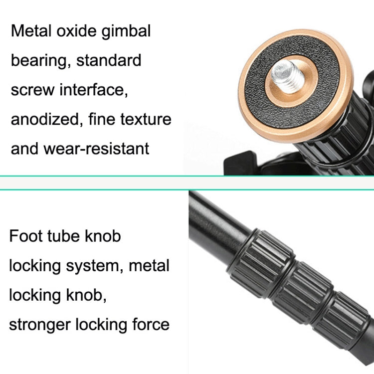 QingZhuangShiDai Q999S Portable Projector Photography Camera Live Gimbal Tripod(Black) - free shipping - PMC TechLife - Order now!