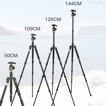 QingZhuangShiDai Q999S Portable Projector Photography Camera Live Gimbal Tripod(Black) - free shipping - PMC Jewellery - Order now!