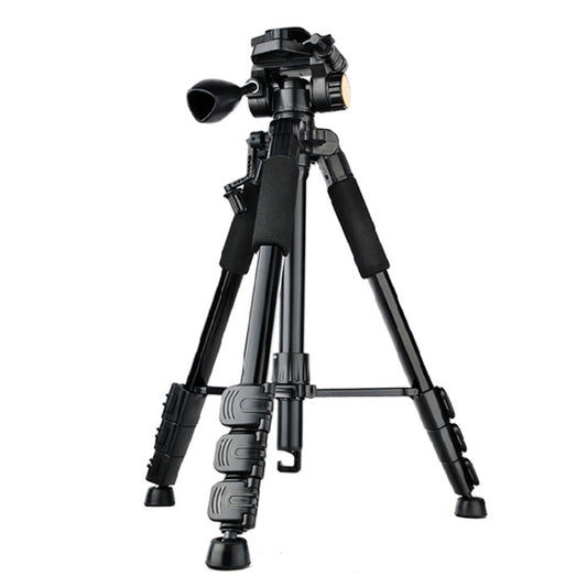 QingZhuangShiDai Q111 Aluminum Alloy Mobile Phone Camera Photography Tripod(Black) - free shipping - PMC Jewellery - Order now!