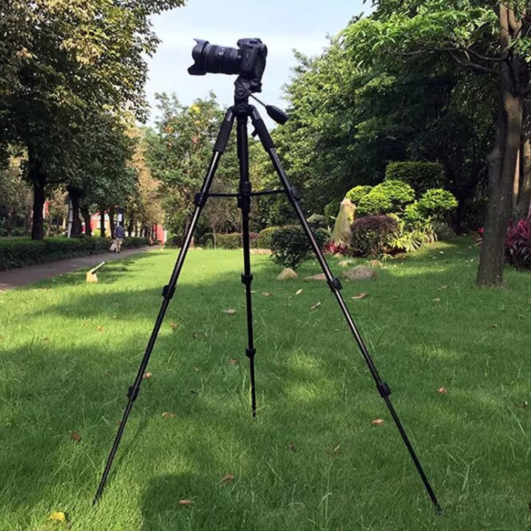 QingZhuangShiDai Q111 Aluminum Alloy Mobile Phone Camera Photography Tripod(Black) - free shipping - PMC TechLife - Order now!