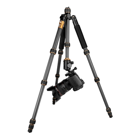 QingZhuangShiDai Q666C Portable Travel Photography Ball Head SLR Camera Carbon Fiber Tripod(Black) - free shipping - PMC Jewellery - Order now!