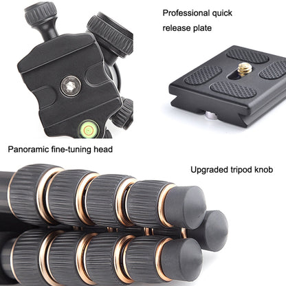 QingZhuangShiDai Q666C Portable Travel Photography Ball Head SLR Camera Carbon Fiber Tripod(Black) - free shipping - PMC Jewellery - Order now!