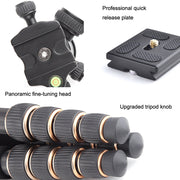 QingZhuangShiDai Q666C Portable Travel Photography Ball Head SLR Camera Carbon Fiber Tripod(Black)
