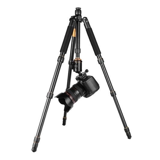 QingZhuangShiDai Q666 Portable Travel SLR Camera Aluminum Magnesium Alloy Tripod(Black) - free shipping - PMC Jewellery - Order now!