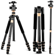 QingZhuangShiDai Q222C SLR Camera Carbon Fiber Portable Travel Tripod(Black)